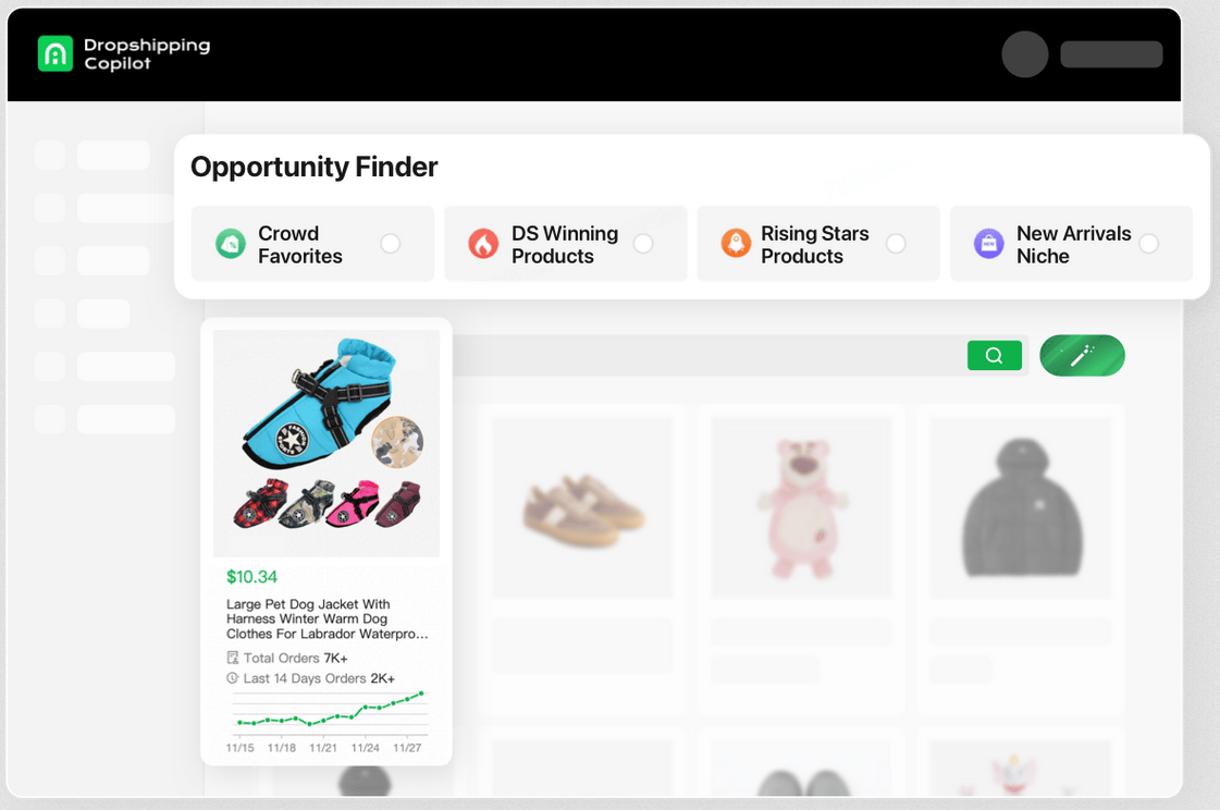 Dropshipping CoPilot