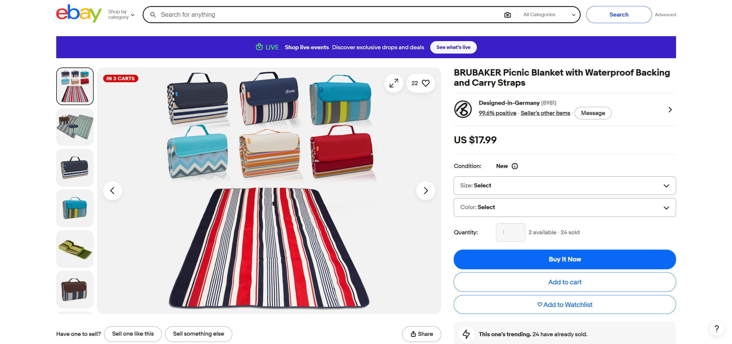 Picnic Blankets