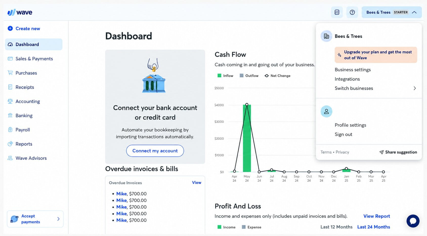 Wave Accounting dashboard