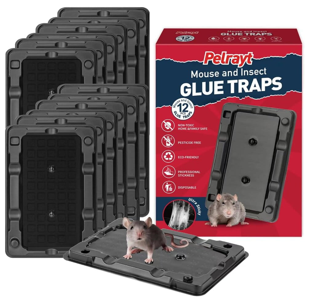 Pre-Scented Non-Toxic Mouse Glue Traps